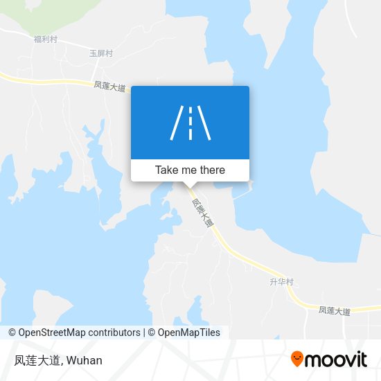 凤莲大道 map