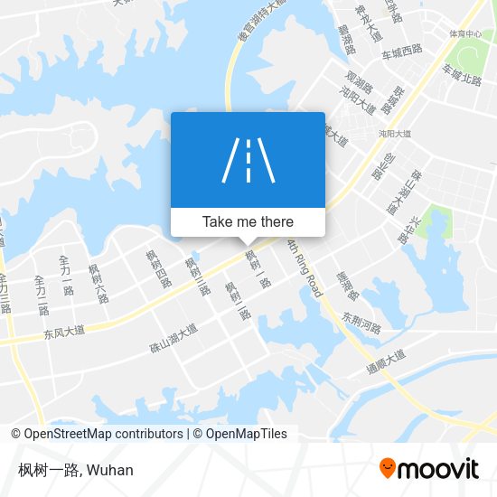 枫树一路 map