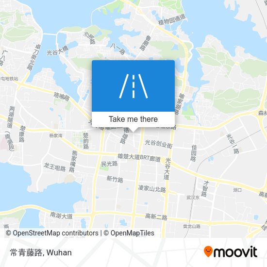 常青藤路 map