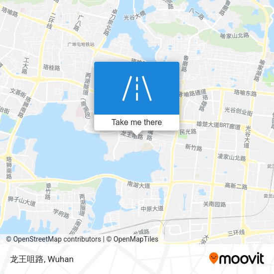 龙王咀路 map