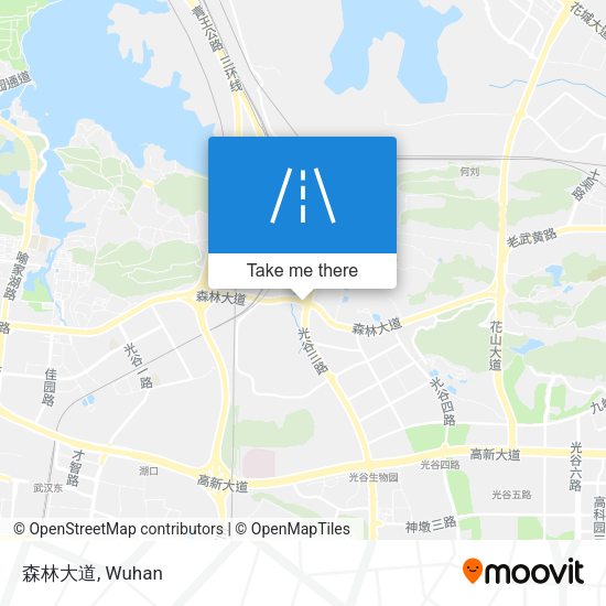 森林大道 map