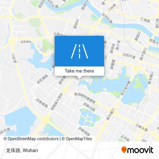 龙珠路 map