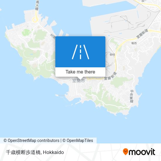 千歳横断歩道橋 map