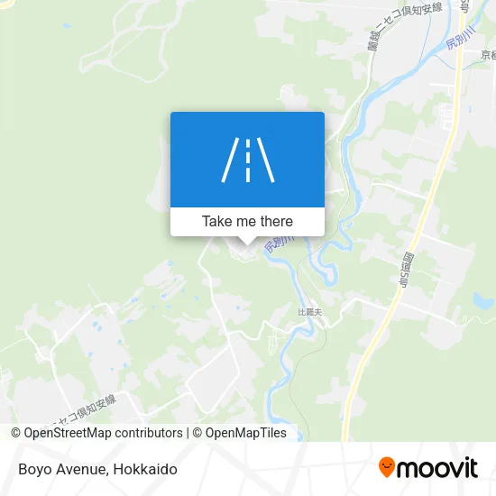 Boyo Avenue map