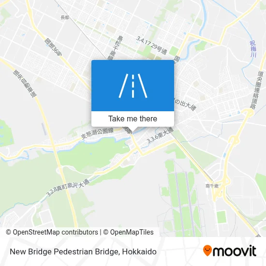New Bridge Pedestrian Bridge map