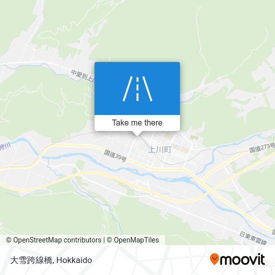 大雪跨線橋 map