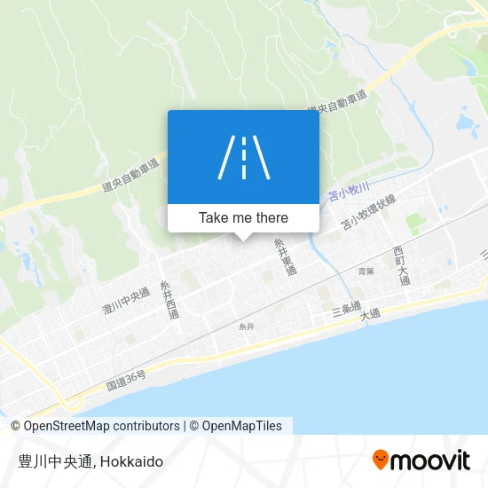 Toyokawa Central Street map