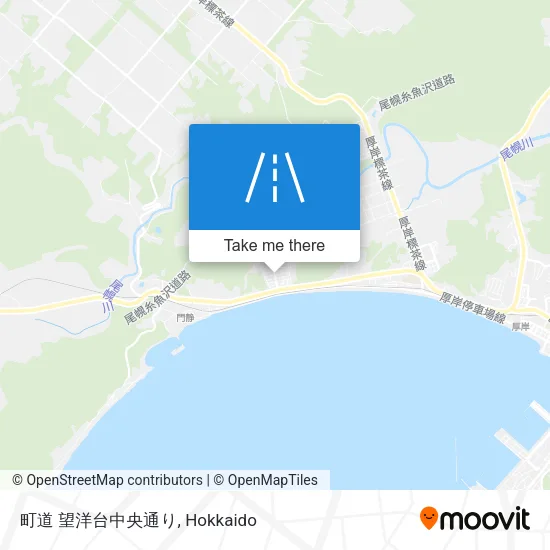 Moyo Daiba Central Street map