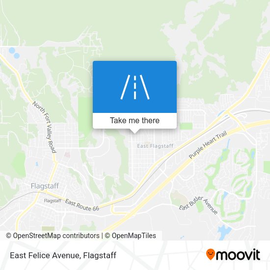 East Felice Avenue map