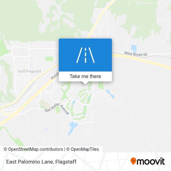 East Palomino Lane map