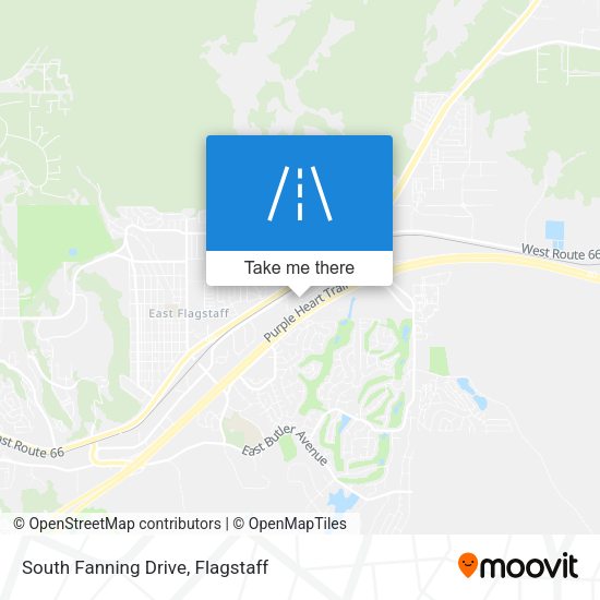 South Fanning Drive map