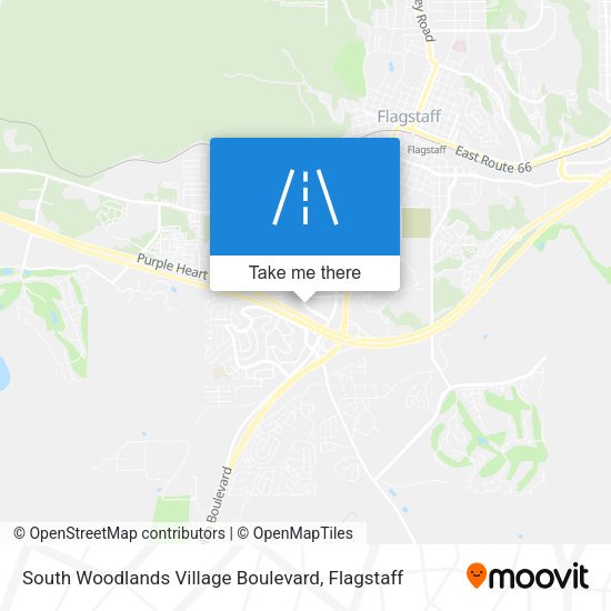 Mapa de South Woodlands Village Boulevard