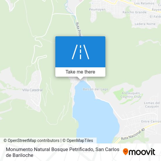 Mapa de Monumento Natural Bosque Petrificado