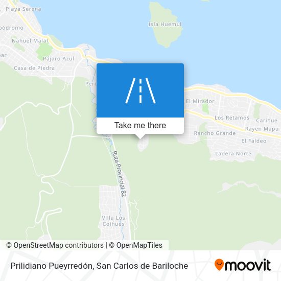 Mapa de Prilidiano Pueyrredón
