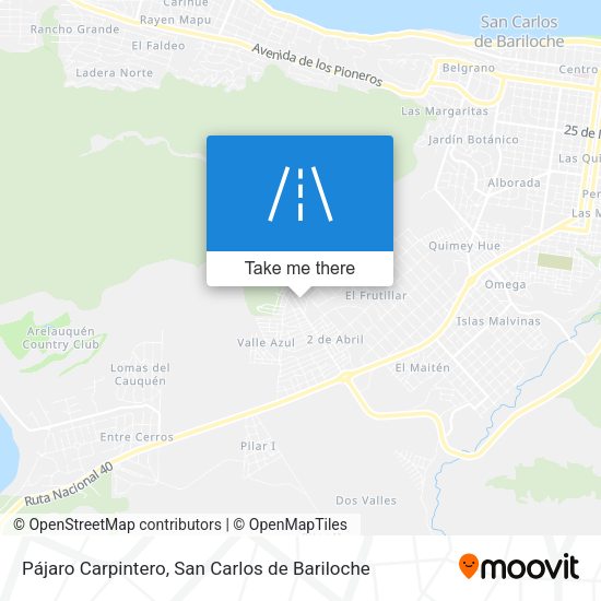 Mapa de Pájaro Carpintero