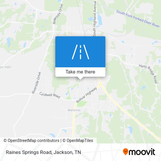Raines Springs Road map