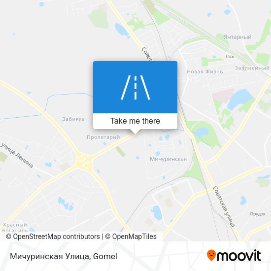 Мичуринская Улица map