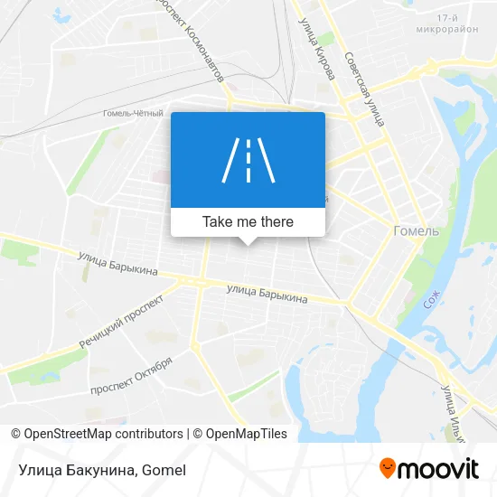 Улица Бакунина map