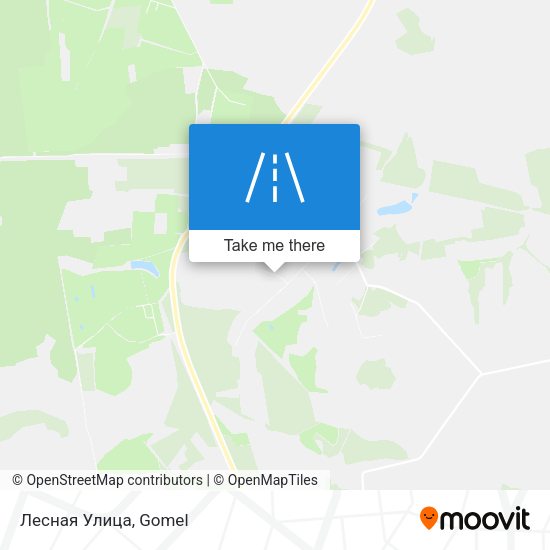 Лесная Улица map