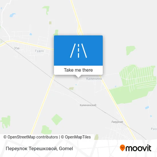 Переулок Терешковой map