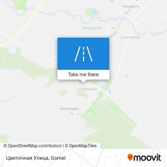 Цветочная Улица map