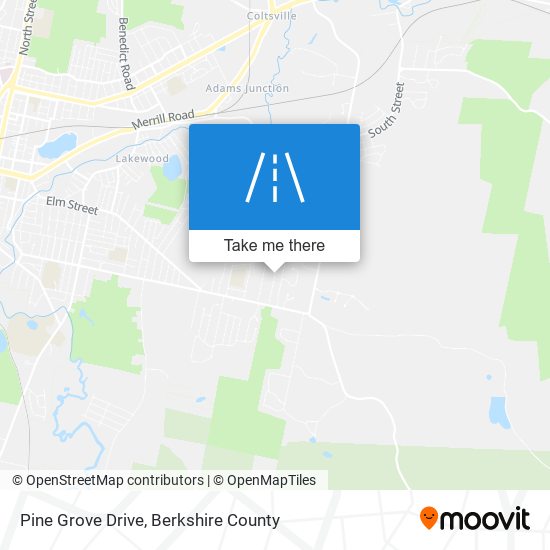 Pine Grove Drive map