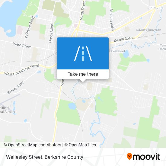 Wellesley Street map