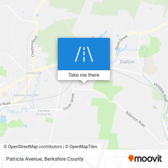 Patricia Avenue map