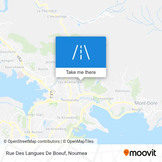 Rue Des Langues De Boeuf map