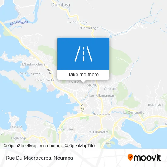 Rue Du Macrocarpa map