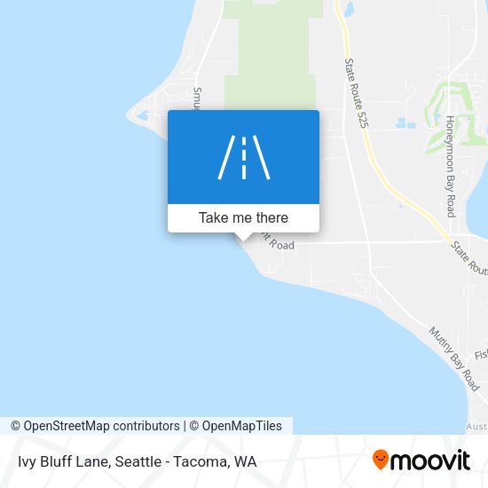 Mapa de Ivy Bluff Lane