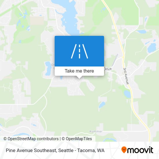Pine Avenue Southeast map