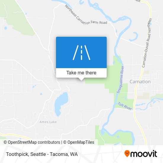 Toothpick map