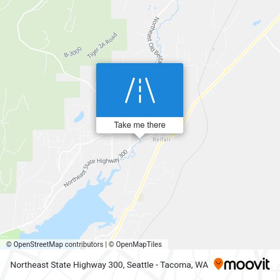 Mapa de Northeast State Highway 300