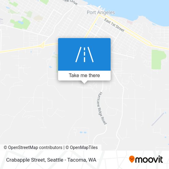 Crabapple Street map