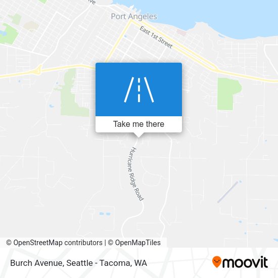 Burch Avenue map