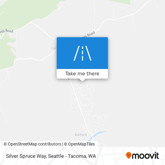 Mapa de Silver Spruce Way