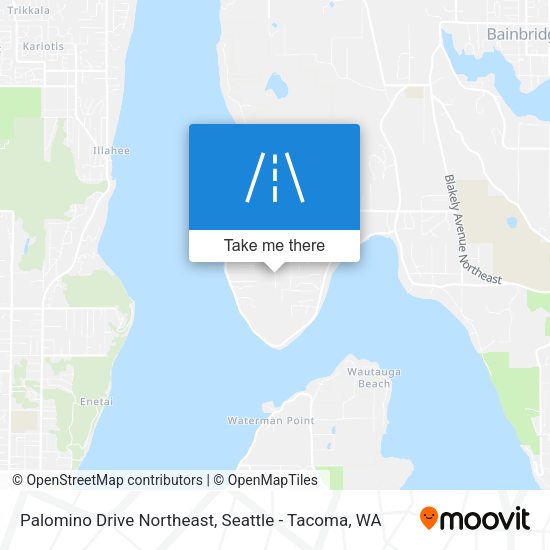 Palomino Drive Northeast map