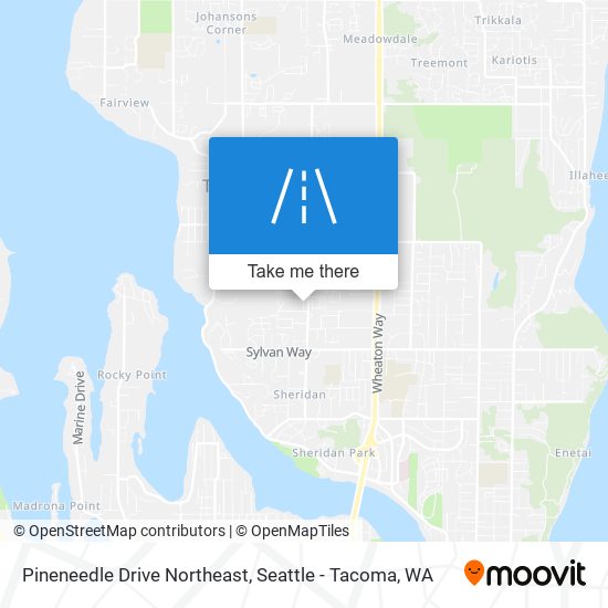 Pineneedle Drive Northeast map