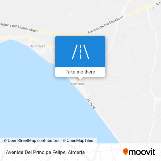 Avenida Del Príncipe Felipe map