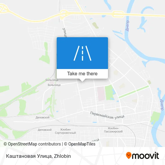Каштановая Улица map