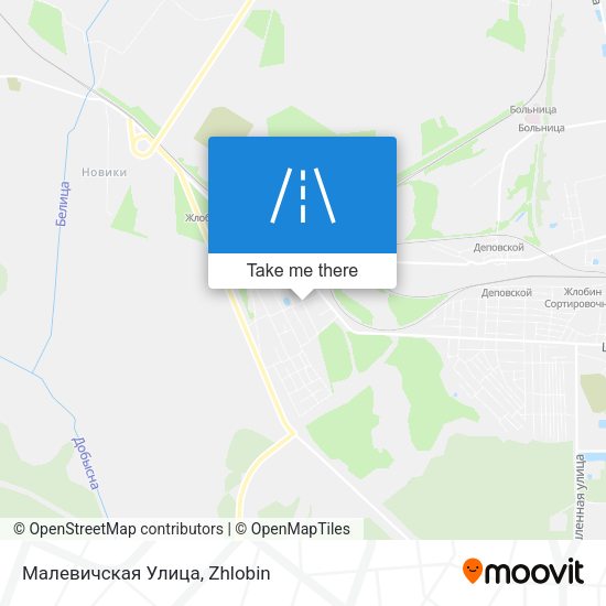 Малевичская Улица map