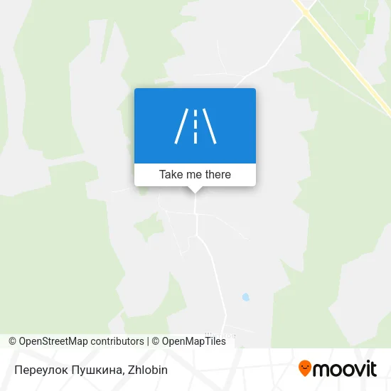 Переулок Пушкина map