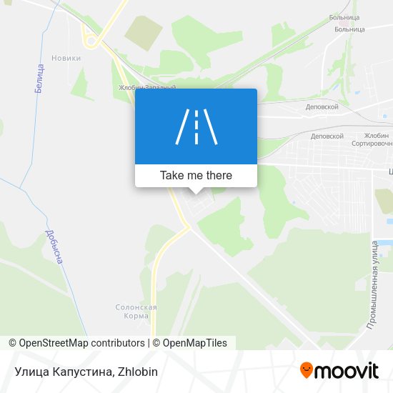 Улица Капустина map