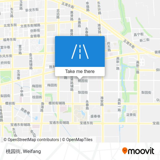 桃园街 map