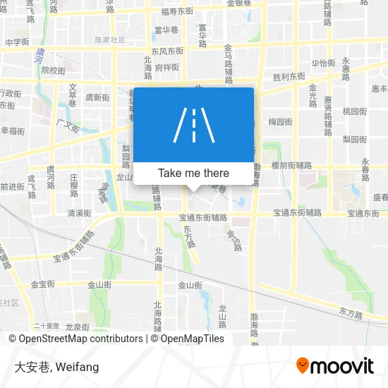 大安巷 map