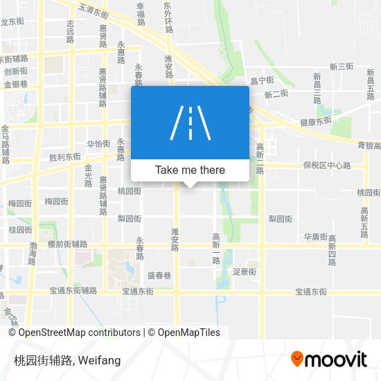 桃园街辅路 map