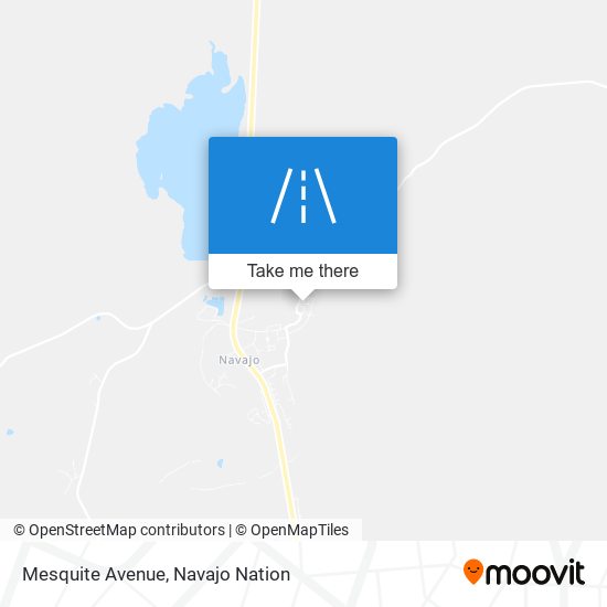 Mesquite Avenue map
