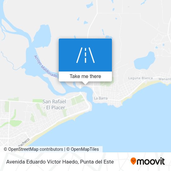 Avenida Eduardo Víctor Haedo map