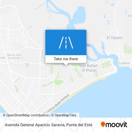 Avenida General Aparicio Saravia map
